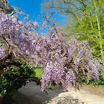 Domaine De Chansard Vakantiehuis