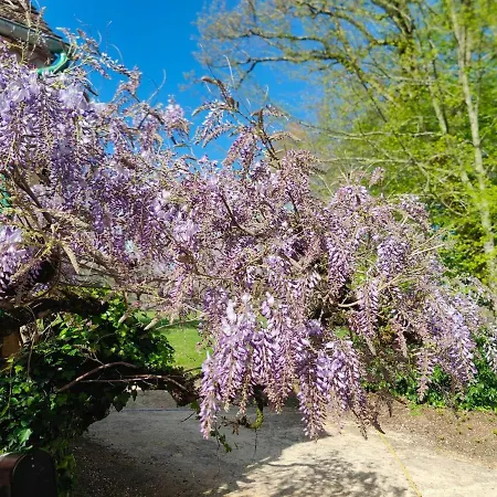 Domaine De Chansard Prázdninový dům