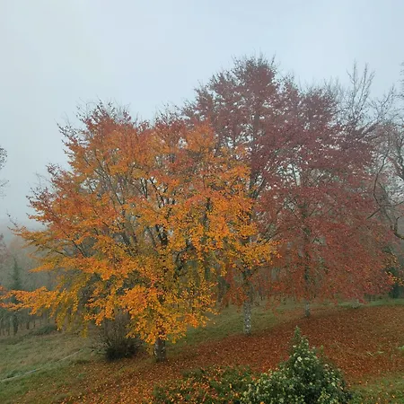 Domaine De Chansard *