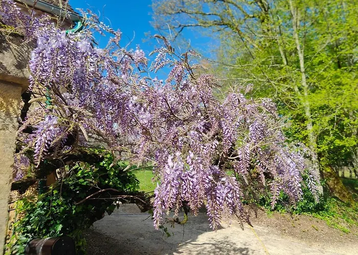 Domaine De Chansard Prázdninový dům